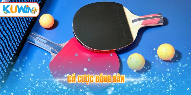 Cá cược bóng bàn