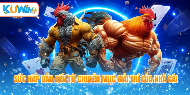 Sức hấp dẫn đến từ chuyên mục giải trí của nhà cái